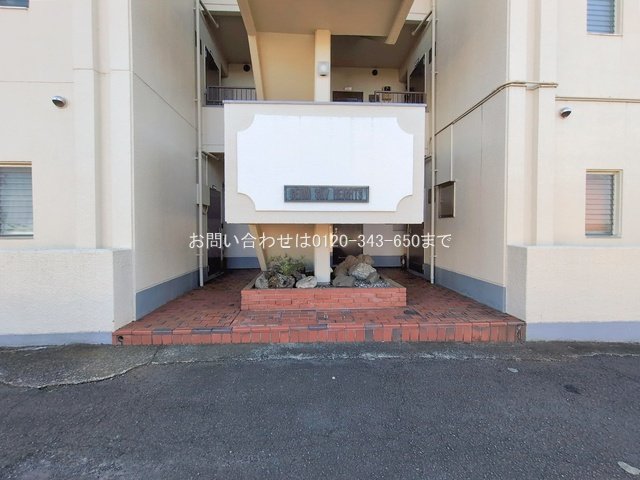 撮影日(2026-01-06)