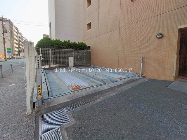 撮影日(2026-01-20 00:00:00)