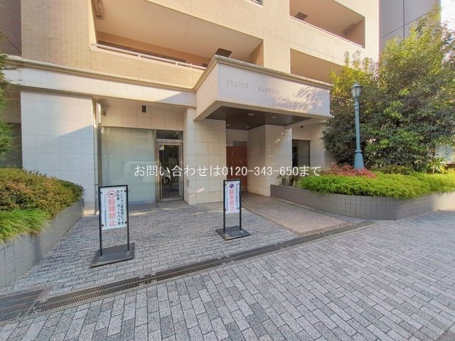 撮影日(2026-01-20 00:00:00)