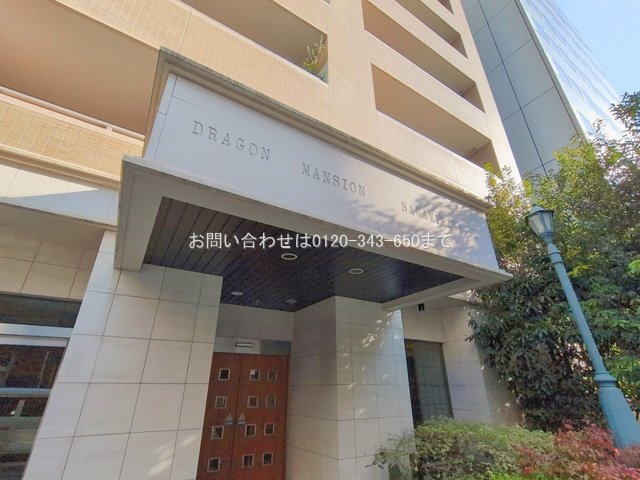 撮影日(2026-01-20 00:00:00)