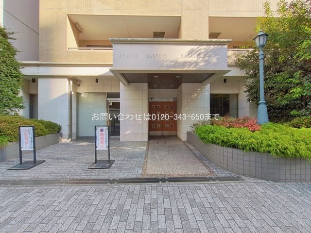 撮影日(2026-01-20)