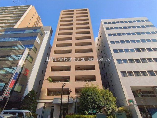 撮影日(2026-01-20 00:00:00)