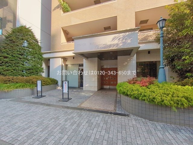 撮影日(2026-01-20 00:00:00)