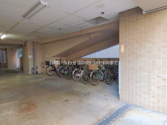 撮影日(2026-01-20 00:00:00)