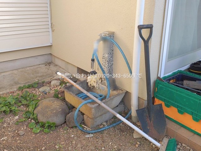 撮影日(2026-01-20 00:00:00)