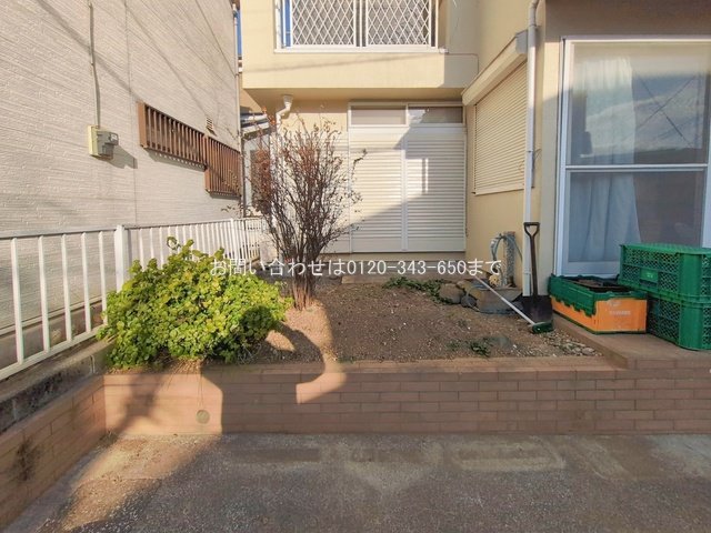 撮影日(2026-01-20 00:00:00)