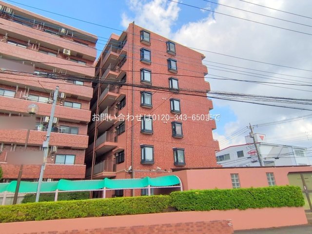 撮影日(2025-09-16 00:00:00)