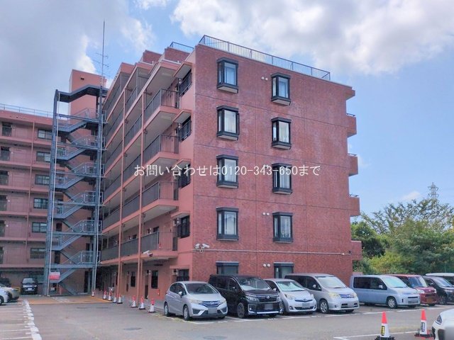 撮影日(2025-09-16 00:00:00)