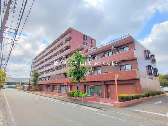 撮影日(2025-09-16 00:00:00)