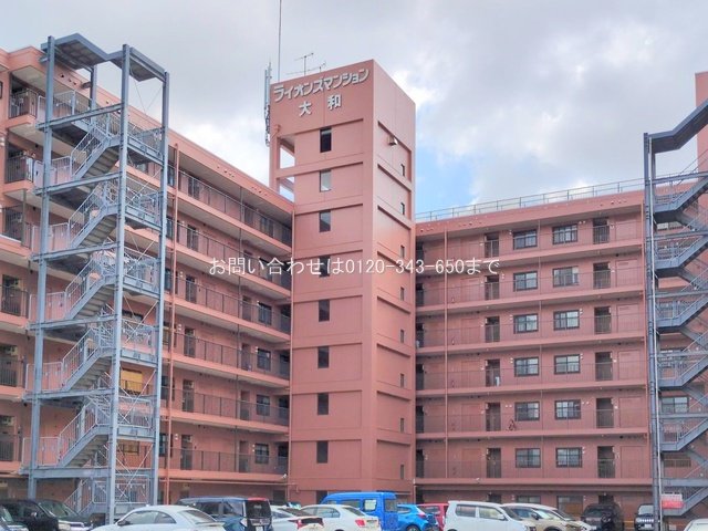 撮影日(2025-09-16 00:00:00)