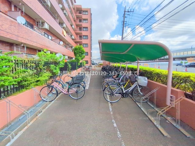 撮影日(2025-09-16 00:00:00)