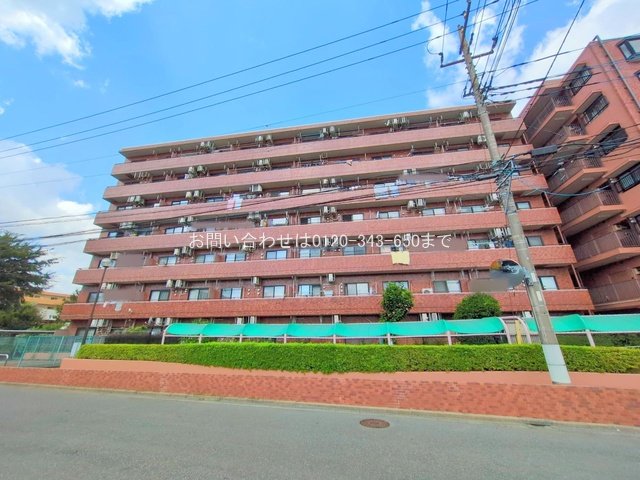 撮影日(2025-09-16 00:00:00)