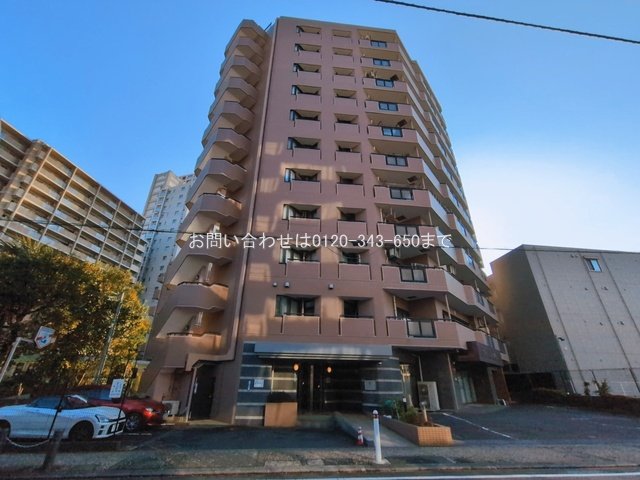 撮影日(2026-03-12)