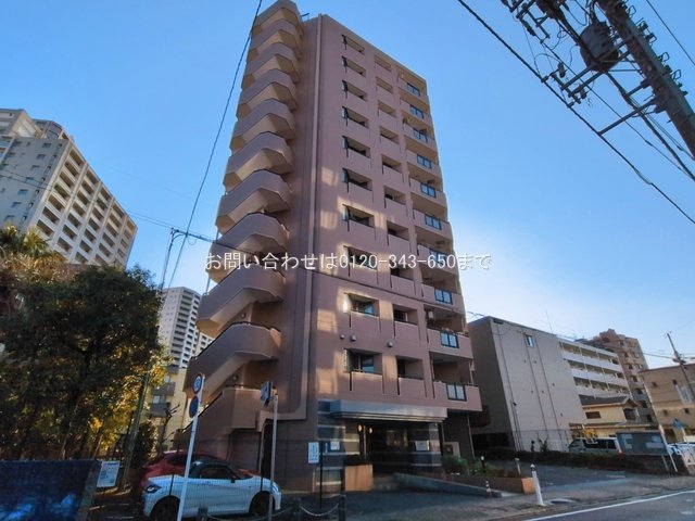 撮影日(2026-03-12 00:00:00)