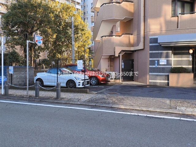 撮影日(2026-03-12 00:00:00)