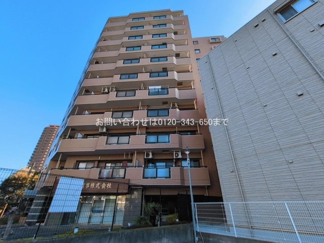 撮影日(2026-03-12 00:00:00)