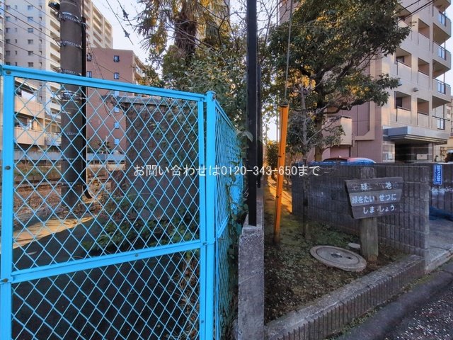 撮影日(2026-03-12 00:00:00)