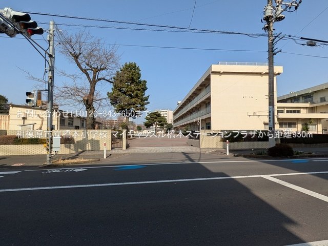 相模原市立橋本小学校 撮影日(2025-03-25) 950m