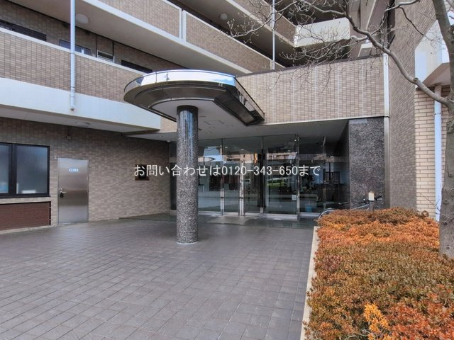 撮影日(2026-03-17 00:00:00)