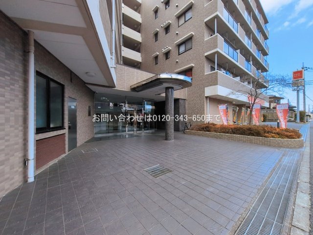 撮影日(2026-03-17 00:00:00)