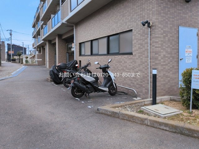 撮影日(2026-03-17 00:00:00)