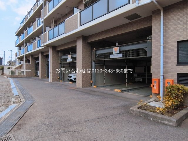 撮影日(2026-03-17 00:00:00)