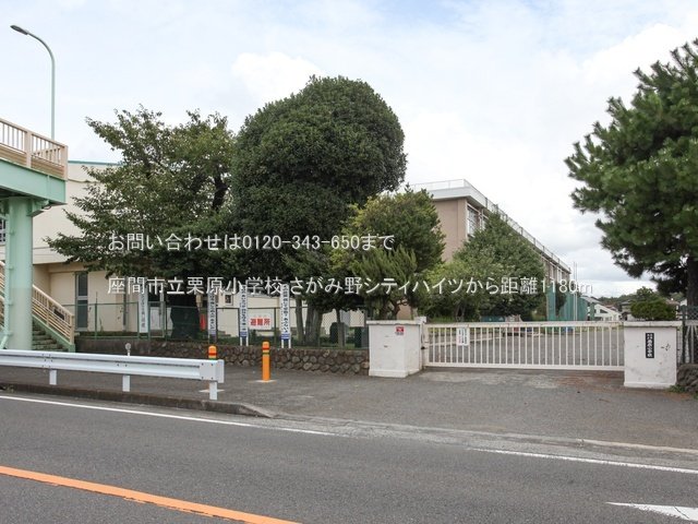 座間市立栗原小学校 撮影日(2024-08-29) 1180m
