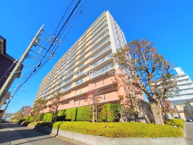 ライオンズマンション西橋本 807