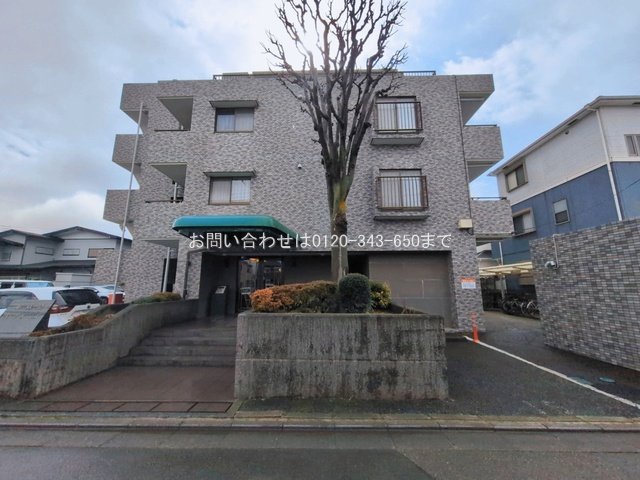 撮影日(2026-03-10)