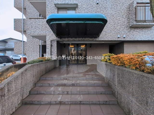 撮影日(2026-03-10)