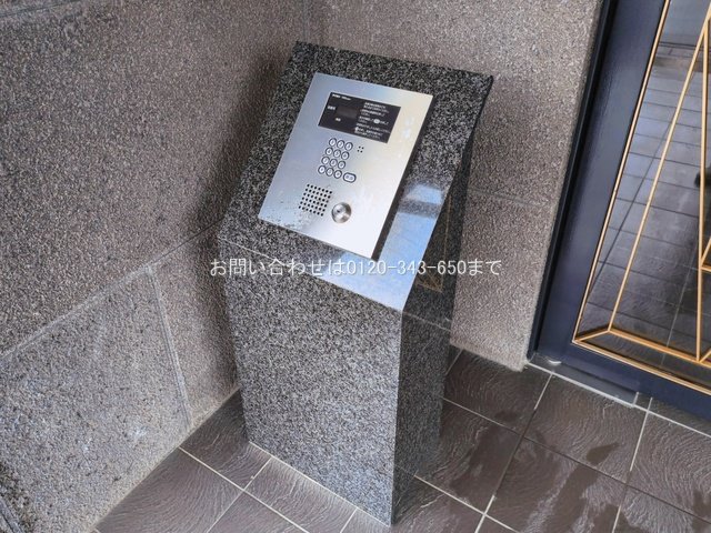 撮影日(2026-03-10 00:00:00)