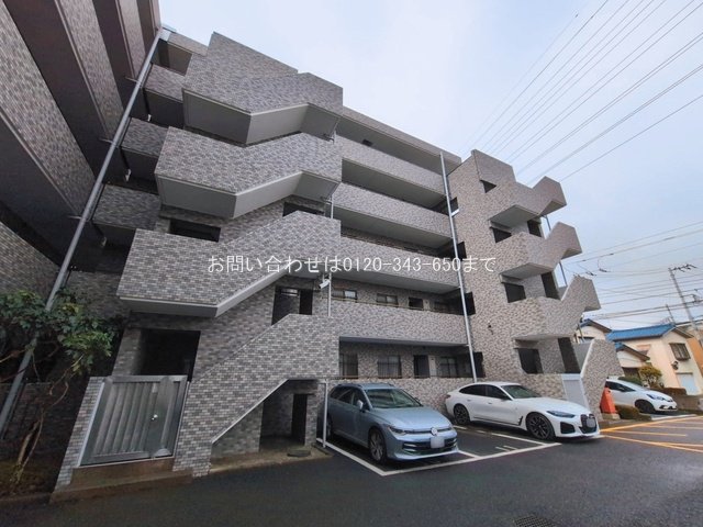 撮影日(2026-03-10 00:00:00)