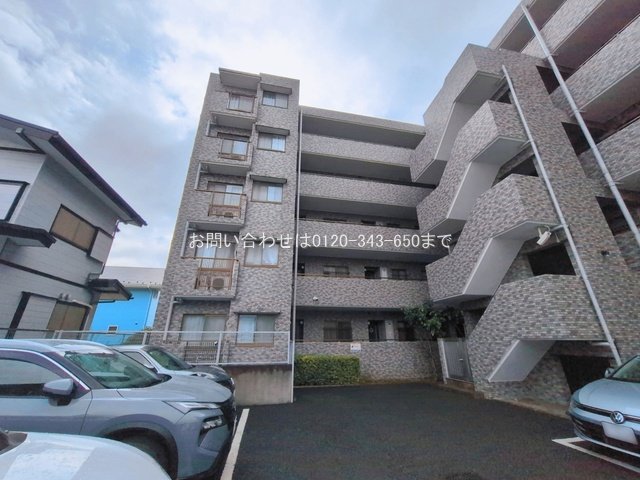 撮影日(2026-03-10 00:00:00)