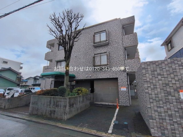 撮影日(2026-03-10 00:00:00)