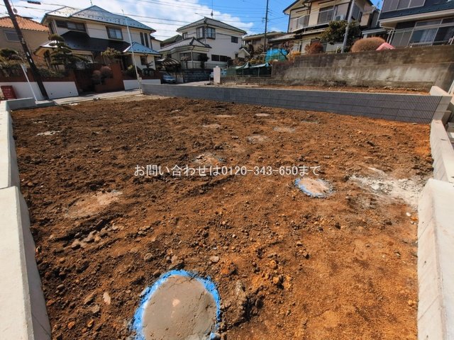 撮影日(2026-03-11 00:00:00)