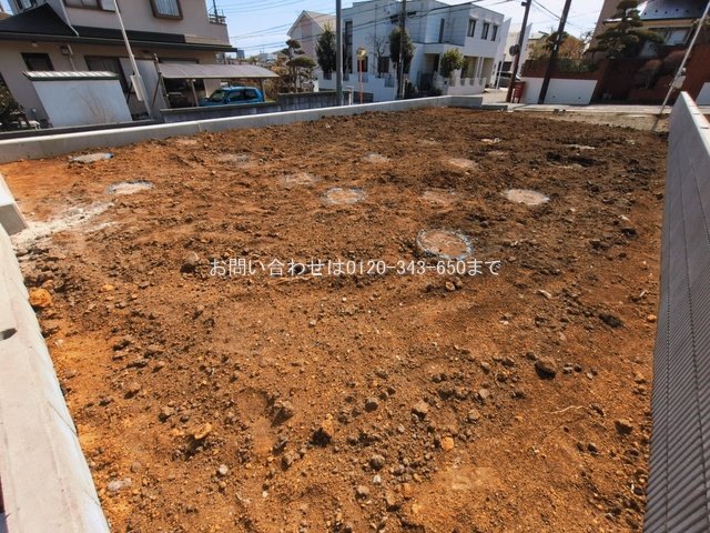 撮影日(2026-03-11 00:00:00)