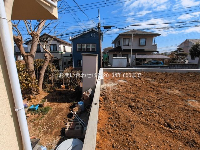 撮影日(2026-03-11 00:00:00)