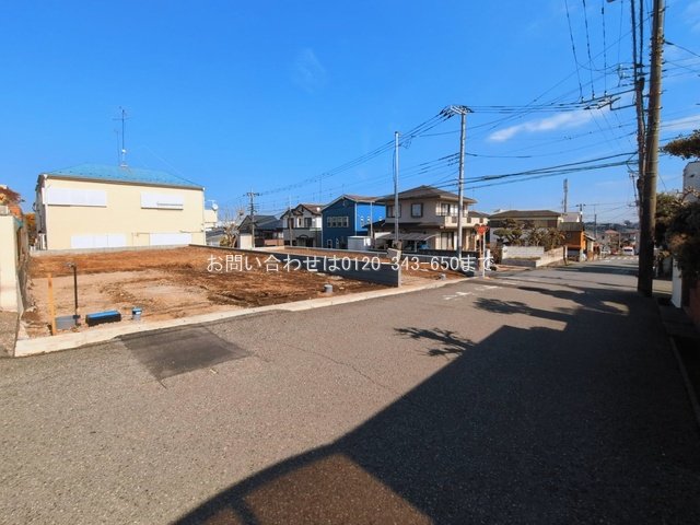 撮影日(2026-03-11 00:00:00)