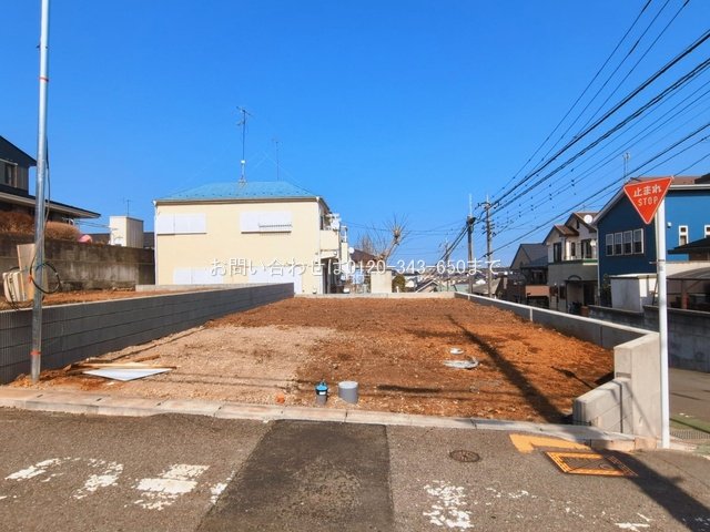 撮影日(2026-03-11 00:00:00)