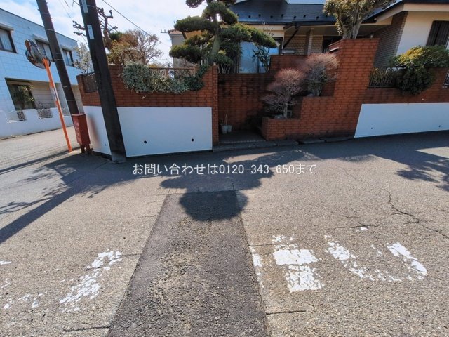 撮影日(2026-03-11 00:00:00)