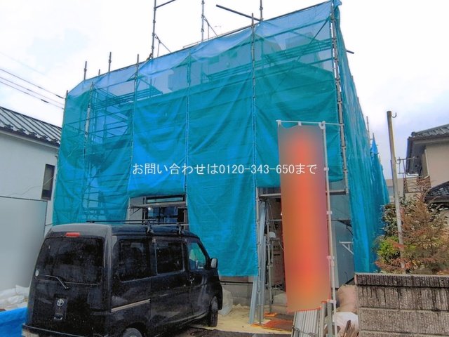 撮影日(2026-03-25 00:00:00)