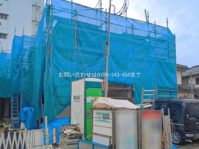撮影日(2026-03-25 00:00:00)