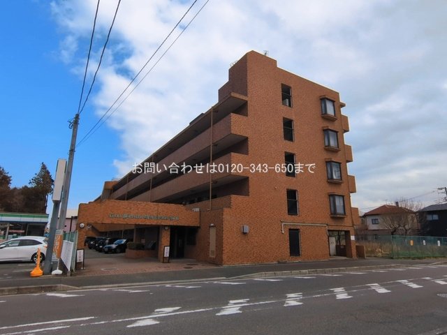 撮影日(2026-03-17)