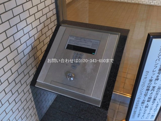 撮影日(2026-03-17 00:00:00)