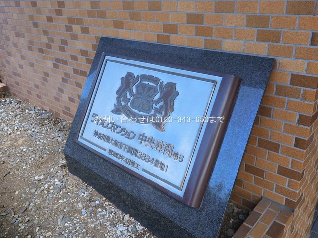 撮影日(2026-03-17 00:00:00)