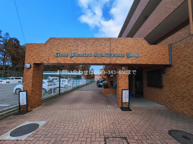 撮影日(2026-03-17)