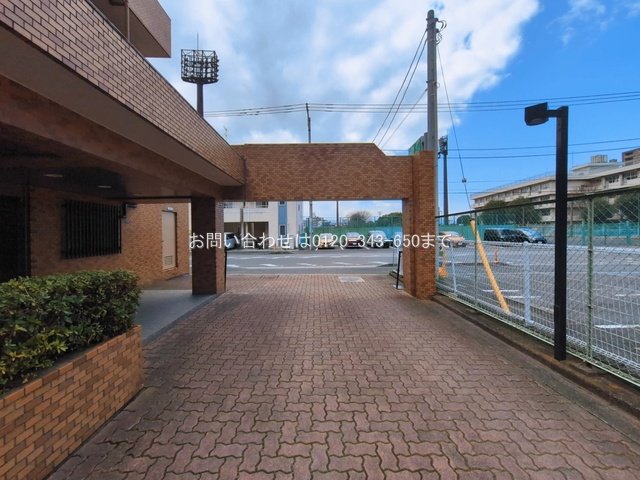 撮影日(2026-03-17 00:00:00)