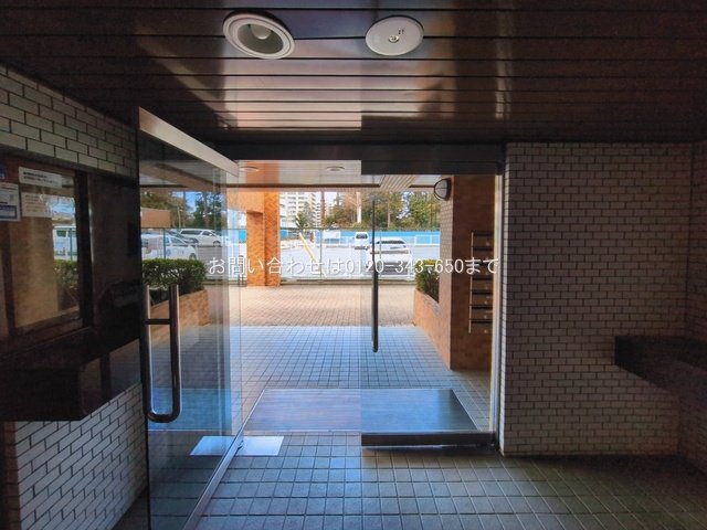 撮影日(2026-03-17 00:00:00)