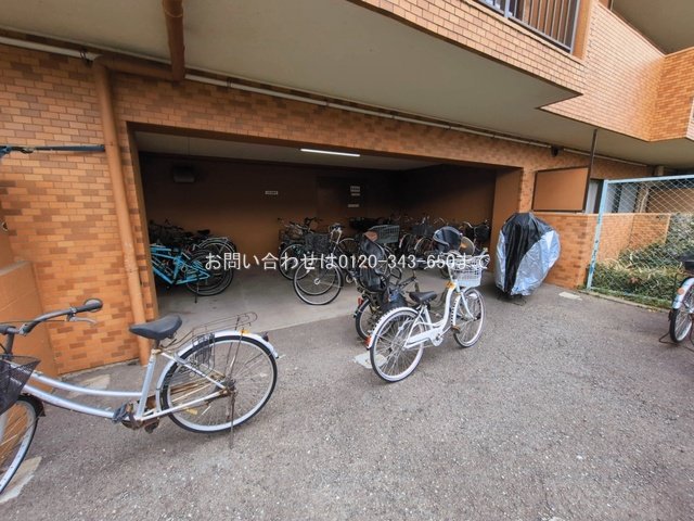 撮影日(2026-03-17 00:00:00)