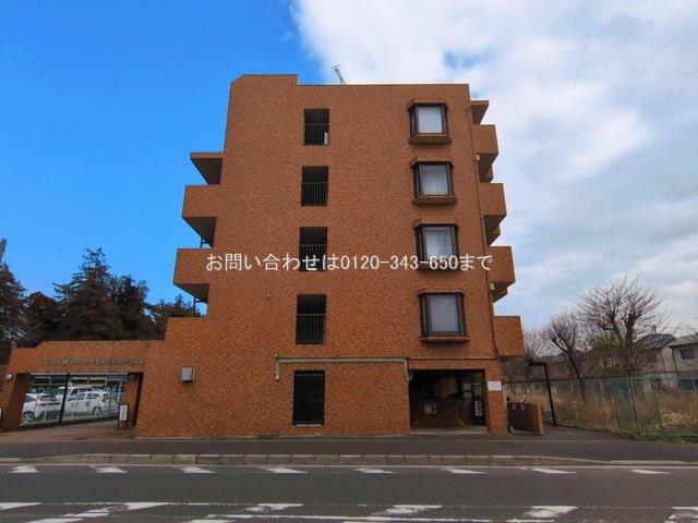 撮影日(2026-03-17 00:00:00)